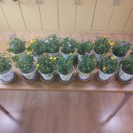 KakaoTalk_20251022_111233604